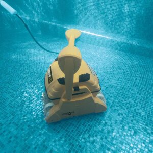 Dolphin Wave 100 Poolroboter - Combi Bürste