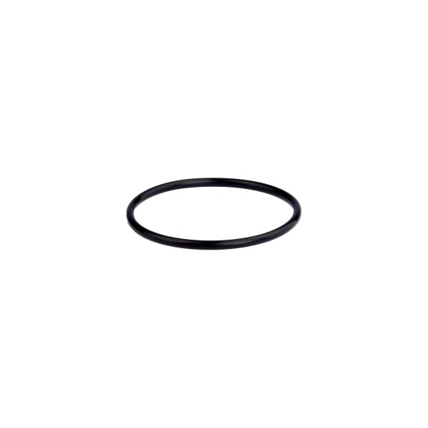 O-Ring für Anschlussteil für Pumpe Speck Picco / Magic / Aquatechnix Aquaplus / Vario Plus