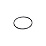 O-Ring für Anschlussteil für Pumpe Speck Picco / Magic / Aquatechnix Aquaplus / Vario Plus